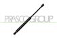 VERRIN DE HAYON A GAZ DROIT/GAUCHE - 380 N - L 291,5 mm - C 107 mm - Ø 18 mm - Ø 8 mm