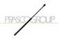 TAILGATE GAS SPRING RIGHT/LEFT - 600 N - L 515 mm - C 210 mm - Ø 18 mm - Ø 8 mm