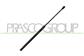 AMORTIGUADOR DE MALETERO DERECHO/IZQUIERDO PORTON TRASERO - 600 N - L 515 mm - C 210 mm - Ø 18 mm - Ø 8 mm