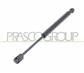 AMORTIGUADOR DE CAPO DERECHO/IZQUIERDO - 720 N - L 285 mm - C 100 mm - Ø 18 mm - Ø 8 mm