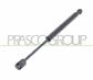 BONNET GAS SPRING RIGHT/LEFT-720 N-L 285 mm-S 100 mm-Ø 18 mm-Ø 8 mm