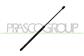 GASDRUCKFEDER HECKKLAPPENFENSTER -305 N - L 554,5 mm - C 229 mm - Ø 18 mm - Ø 8 mm