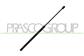AMORTIGUADOR DE MALETERO DE LUNETA TRASERA - 305 N - L 554,5 mm - C 229 mm - Ø 18 mm - Ø 8 mm