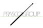 REAR HATCH WINDOW GAS SPRING RIGHT/LEFT - 190 N - L 488,5 mm - C 191,5 mm - Ø 18 mm - Ø 8 mm