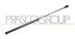 AMORTIGUADOR DE MALETERO DERECHO/IZQUIERDO PORTON TRASERO - 430 N - L 470 mm - C 200 mm - Ø 18 mm - Ø 8 mm
