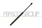 MOLLA A GAS DESTRA/SINISTRA PORTELLONE POSTERIORE - 355 N - L 462,5 mm - C 170,5 mm - Ø 22 mm - Ø 10 mm