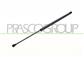 GASDRUCKFEDER HECKKLAPPE RECHTS/LINKS-425 N-L 545 mm-H 195 mm-Ø 18 mm-Ø 8 mm