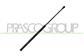 MOLLA A GAS DESTRA/SINISTRA PORTELLONE POSTERIORE - 420 N - L 549 mm - C 219 mm - Ø 18 mm - Ø 8 mm