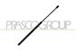 TAILGATE GAS SPRING RIGHT/LEFT - 360 N - L 501 mm - C 190 mm - Ø 18 mm - Ø 8 mm