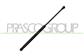 MOLLA A GAS DESTRA/SINISTRA PORTELLONE POSTERIORE - 350 N - L 405 mm - C 160 mm - Ø 18 mm - Ø 8 mm