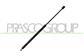 MOLLA A GAS DESTRA/SINISTRA PORTELLONE POSTERIORE - 585 N - L 537 mm - C 207 mm - Ø 18 mm - Ø 8 mm