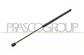 AMORTIGUADOR DE CAPO DERECHO/IZQUIERDO - 335 N - L 545 mm - C 225 mm - Ø 18 mm - Ø 8 mm