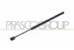 AMORTIGUADOR DE MALETERO DERECHO PORTON TRASERO - 700 N - L 455 mm - C 130 mm - Ø 18 mm - Ø 8 mm