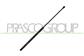 AMORTIGUADOR DE MALETERO DERECHO/IZQUIERDO PORTON TRASERO - 420 N - L 583,5 mm - C 260 mm - Ø 18 mm - Ø 8 mm MOD. FAMILIAR