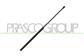 GASDRUCKFEDER HECKKLAPPE RECHTS/LINKS-420 N - L 583,5 mm - C 260 mm - Ø 18 mm - Ø 8 mm MOD. KOMBI