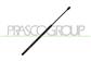 GASDRUCKFEDER HECKKLAPPE RECHTS/LINKS-670 N - L 537 mm - C 180 mm - Ø 18 mm - Ø 8 mm MOD. KOMBI
