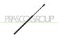 GASDRUCKFEDER HECKKLAPPE RECHTS/LINKS-670 N - L 537 mm - C 180 mm - Ø 18 mm - Ø 8 mm MOD. KOMBI