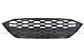 RADIATOR GRILLE-BLACK