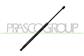 AMORTIGUADOR DE MALETERO DERECHO/IZQUIERDO PORTON TRASERO - 550 N - L 554 mm - C 189 mm - Ø 22 mm - Ø 10 mm