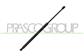 AMORTIGUADOR DE MALETERO DERECHO/IZQUIERDO PORTON TRASERO - 550 N - L 554 mm - C 189 mm - Ø 22 mm - Ø 10 mm
