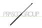 MOLLA A GAS DESTRA/SINISTRA PORTELLONE POSTERIORE - 480 N - L 655 mm - C 285 mm - Ø 22 mm - Ø 10 mm