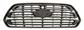 GRILLE CALANDRE MOD. STANDARD