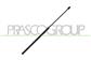 AMORTIGUADOR DE MALETERO DERECHO/IZQUIERDO PORTON TRASERO - 480 N - L 677,5 mm - C 279 mm - Ø 18 mm - Ø 8 mm