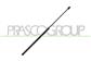 GASDRUCKFEDER HECKKLAPPE RECHTS/LINKS-480 N - L 677,5 mm - C 279 mm - Ø 18 mm - Ø 8 mm