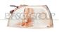 FRONT INDICATOR-RIGHT-CLEAR-WITH BULB HOLDER