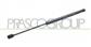 TAILGATE GAS SPRING RIGHT/LEFT - 300 N - L 445 mm - S 180 mm - Ø 18 mm - Ø 8 mm