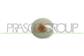 SIDE LAMP RIGHT/LEFT-WITHOUT BULB HOLDER CLEAR-AMBER BULB