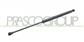 GASDRUCKFEDER HECKKLAPPE RECHTS/LINKS - 350 N - L 436 mm - H 180 mm - Ø 18 mm - Ø 8 mm