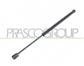 MOLLA A GAS DESTRA/SINISTRA PORTELLONE POSTERIORE - 460 N - L 440 mm - C 160 mm - Ø 18 mm - Ø 8 mm MOD. 3 PORTE