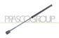 MOLLA A GAS DESTRA/SINISTRA PORTELLONE POSTERIORE - 380 N - L 507 mm - C 216 mm - Ø 18 mm - Ø 8 mm MOD. 5 PORTE