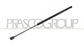 MOLLA A GAS DESTRA/SINISTRA PORTELLONE POSTERIORE - 810 N - L 603 mm - C 200 mm - Ø 18 mm - Ø 8 mm MOD. > 08/2005