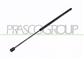 MOLLA A GAS DESTRA/SINISTRA PORTELLONE POSTERIORE - 740 N - L 603 mm - C 220 mm - Ø 18 mm - Ø 8 mm MOD. STATION WAGON