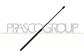 TAILGATE GAS SPRING RIGHT/LEFT - 460 N - L 627 mm - C 300 mm - Ø 18 mm - Ø 8 mm