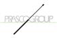 TAILGATE GAS SPRING RIGHT/LEFT - 460 N - L 627 mm - C 300 mm - Ø 18 mm - Ø 8 mm