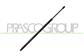 MOLLA A GAS DESTRA/SINISTRA PORTELLONE POSTERIORE - 1050 N - L 700 mm - C 175 mm - Ø 22 mm - Ø 10 mm