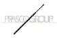 TAILGATE GAS SPRING RIGHT/LEFT - 1050 N - L 700 mm - C 175 mm - Ø 22 mm - Ø 10 mm