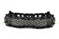 RADIATOR GRILLE-BLACK