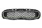 RADIATOR GRILLE-BLACK-WITH CHROME FINISH