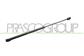 GASDRUCKFEDER HECKKLAPPE RECHTS/LINKS - 420 N - L 479 mm - H 190 mm - Ø 18 mm - Ø 8 mm