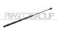 AMORTIGUADOR DE CAPO DERECHO/IZQUIERDO - 280 N - L 562 mm - C 224 mm - Ø 18 mm - Ø 8 mm