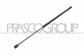 GASDRUCKFEDER HECKKLAPPE RECHTS UND LINKS-300 N-L 645 mm-H 246 mm-Ø 18 mm-Ø 8 mm