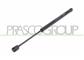 TAILGATE GAS SPRING RIGHT/LEFT - 560 N - L 384 mm - S 138 mm - Ø 18 mm - Ø 8 mm MOD. STATION WAGON