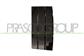 FRONT DOOR MOLDING-RIGHT-BLACK-GLOSSY