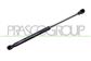 TAILGATE GAS SPRING RIGHT/LEFT - 130 N - L 305 mm - C 120 mm - Ø 15 mm - Ø 6 mm MOD. COUPE’