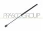GASDRUCKFEDER HECKKLAPPE RECHTS UND LINKS-430 N-L 498 mm-H 205 mm-Ø 18 mm-Ø 8 mm