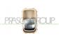 SWITCH WINDOW REGULATOR BEIGE-FRONT DOOR RIGHT-REAR RIGHT/LEFT DOOR-4 PINS